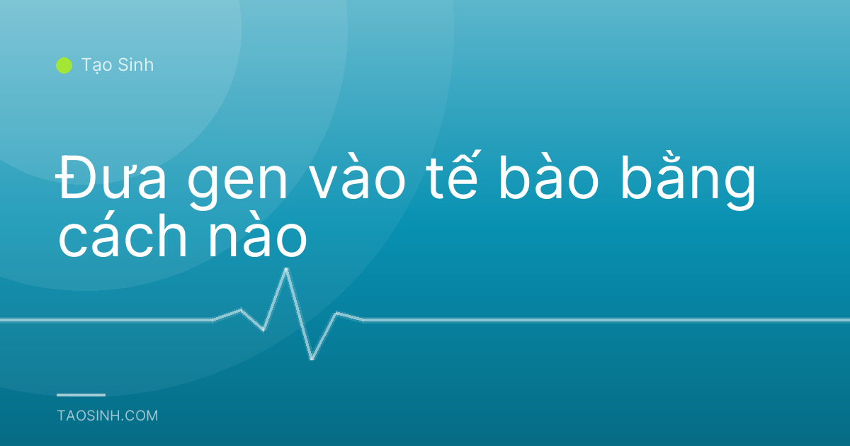 Đưa gen vào tế bào bằng cách nào