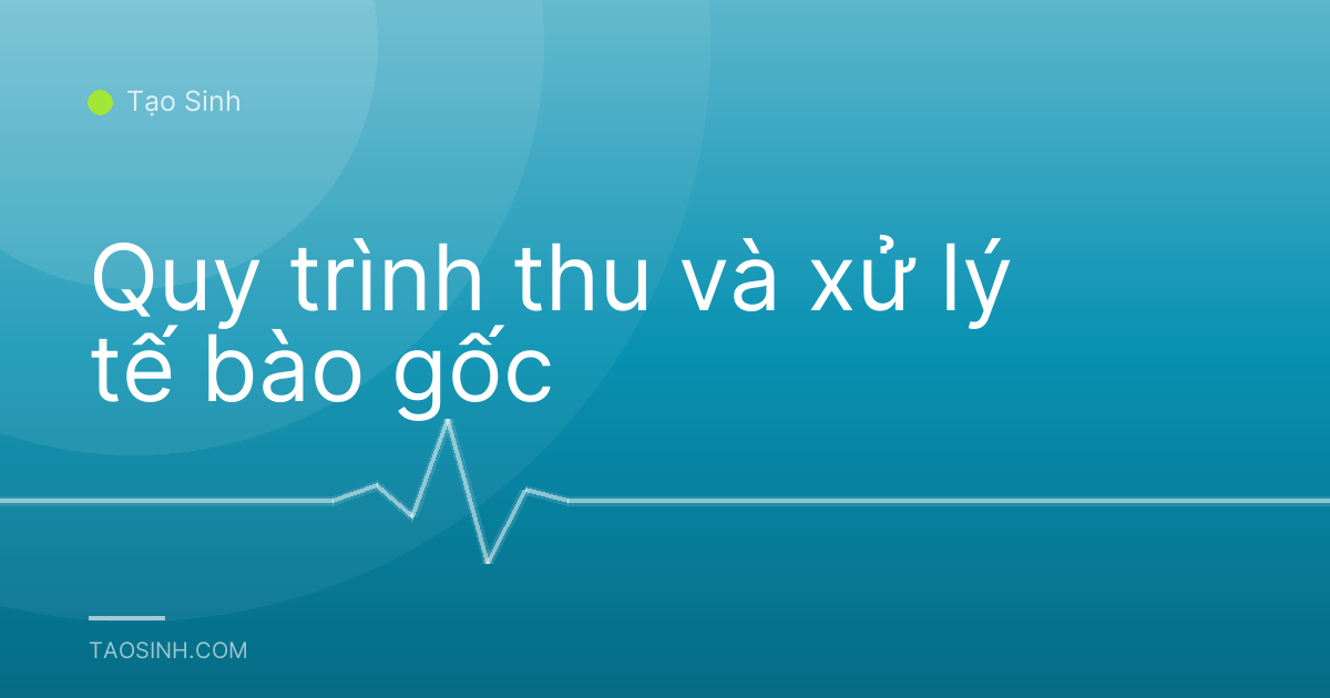 Quy trình thu và xử lý tế bào gốc