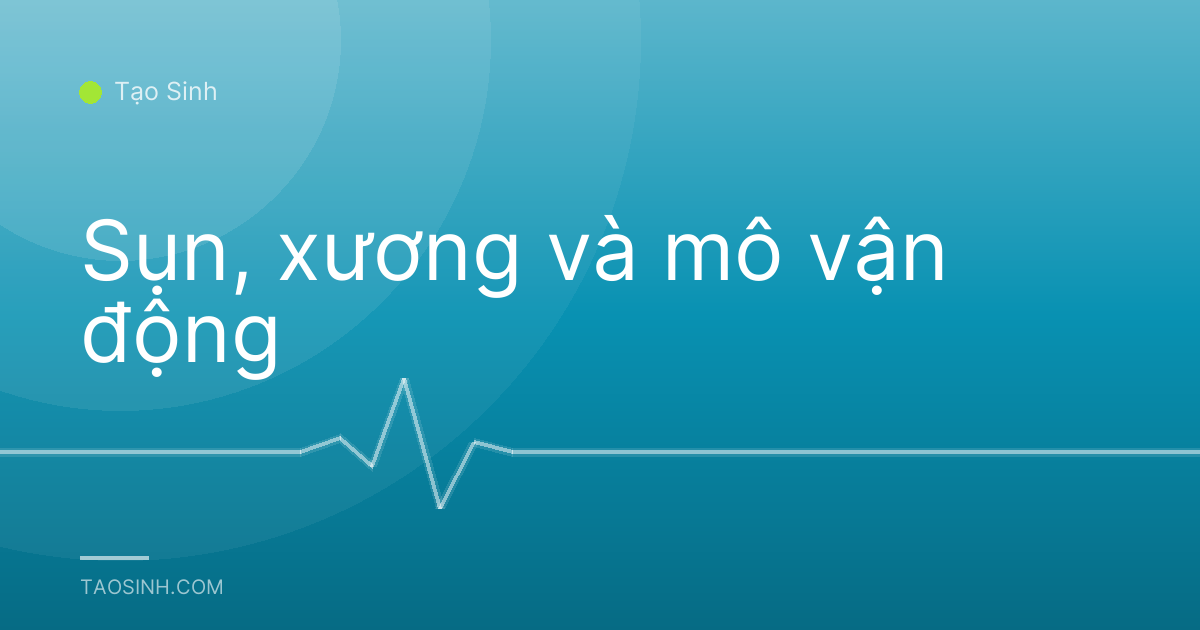 Sụn, xương và mô vận động