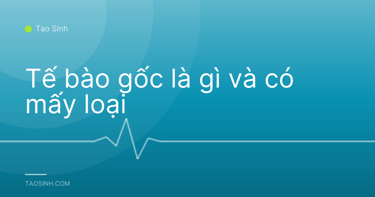 Tế bào gốc là gì và có mấy loại